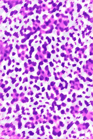 豹纹印花华亿平台图片