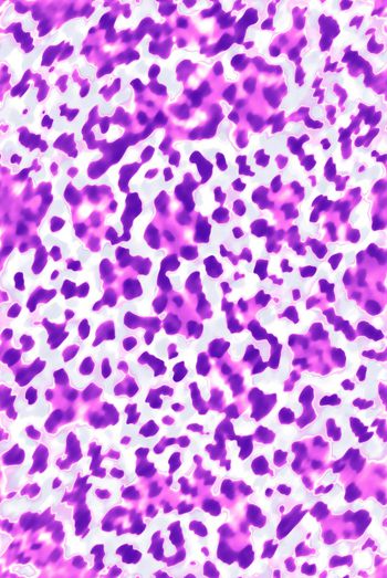 豹纹印花华亿平台图片