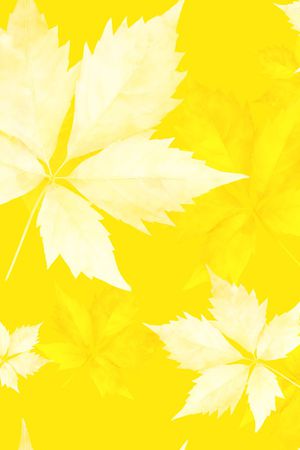 叶子印花华亿平台图片