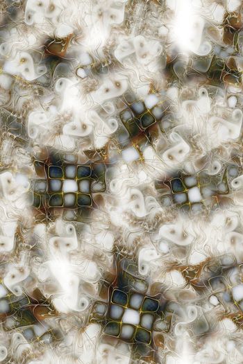 格子印花华亿平台图片