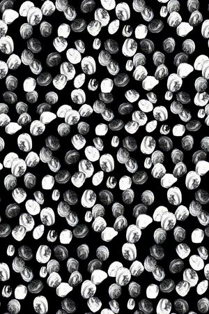 黑白印花华亿平台图片