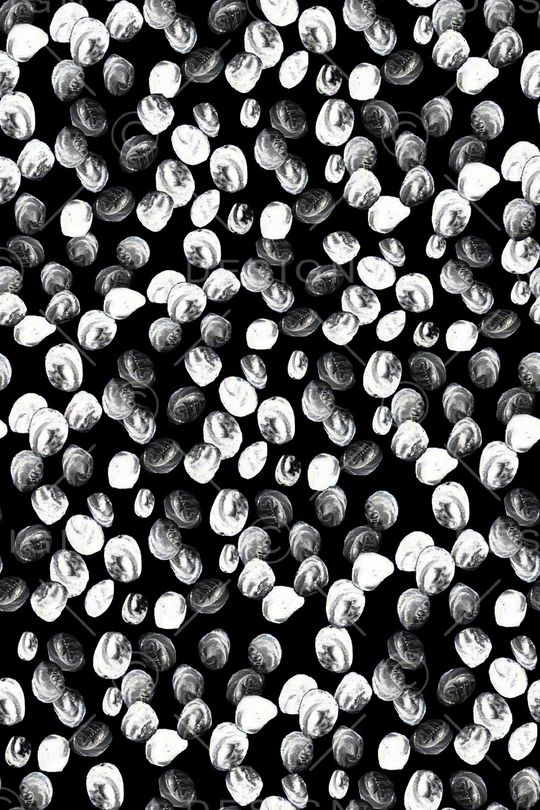 黑白印花华亿平台图片