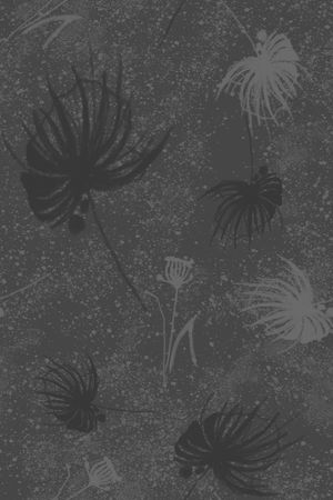 黑白印花华亿平台图片