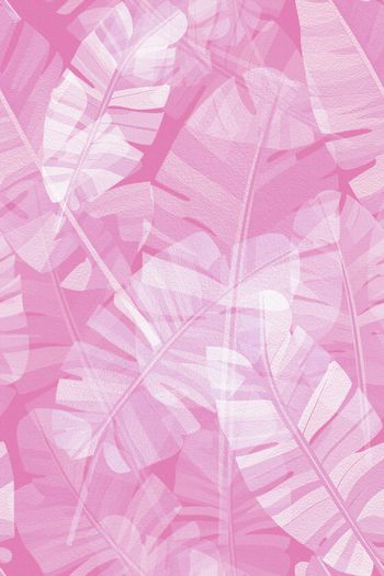 1628968-芭蕉叶粉色调四方连续