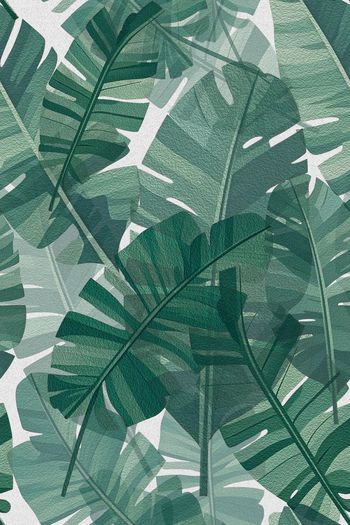 热带印花华亿平台图片