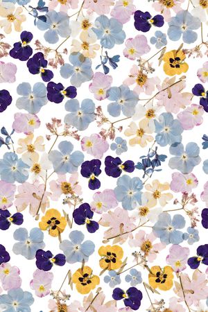 真丝印花华亿平台图片