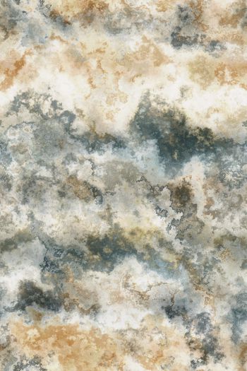 香云纱印花华亿平台图片