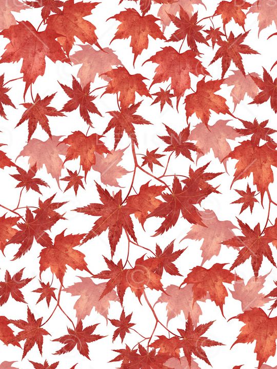 植物印花华亿平台图片