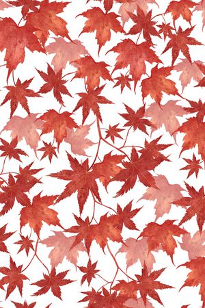 植物印花华亿平台图片