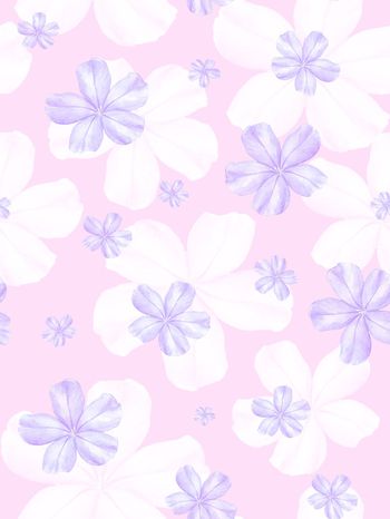 年轻女装印花华亿平台图片