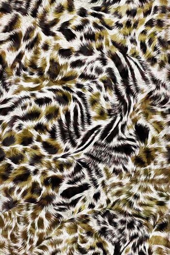 豹纹印花华亿平台图片