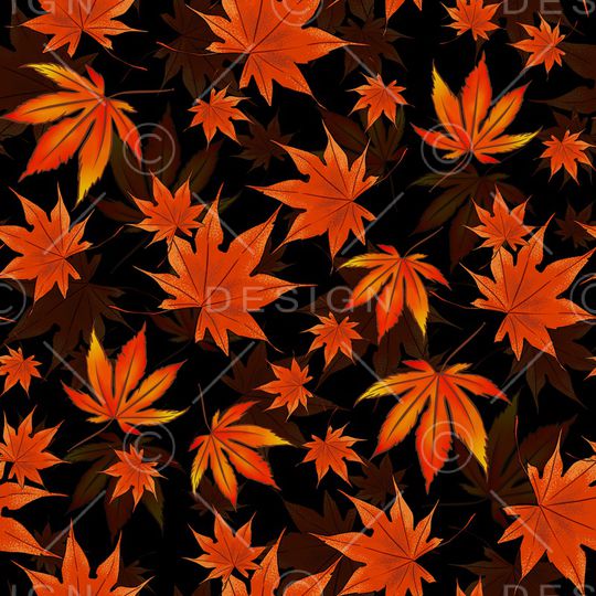 植物印花华亿平台图片