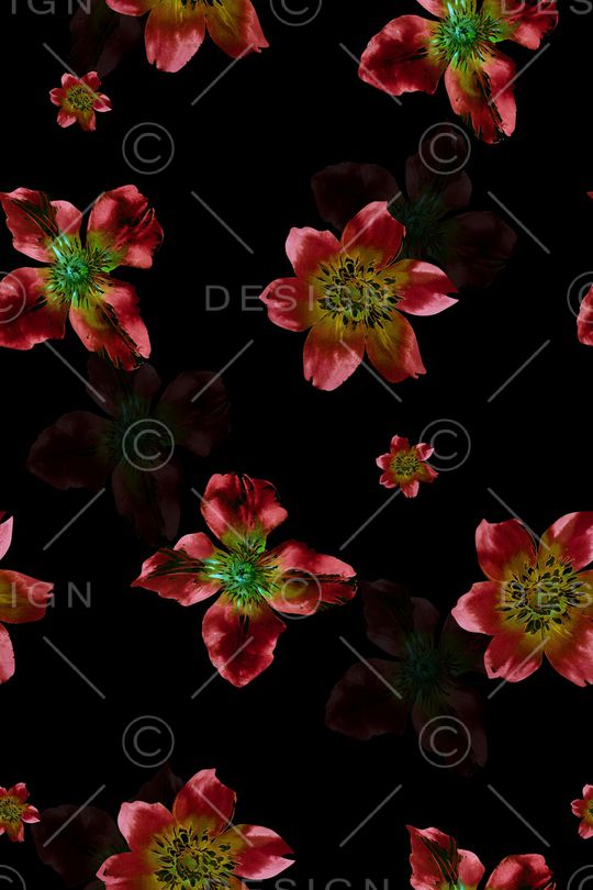 黑底花卉印花华亿平台图片