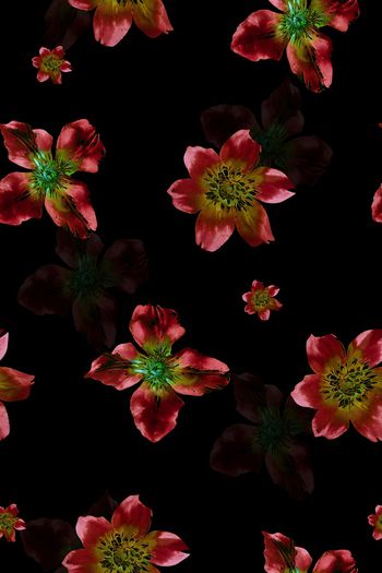 黑底花卉印花华亿平台图片