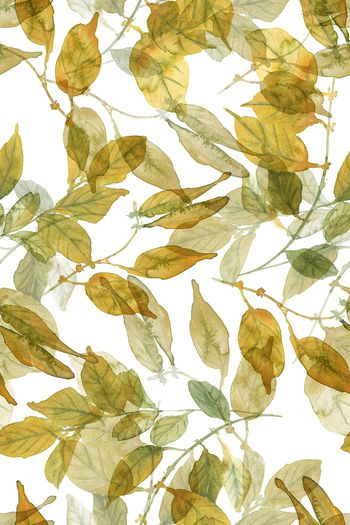 叶子印花华亿平台图片