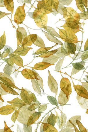 叶子印花华亿平台图片