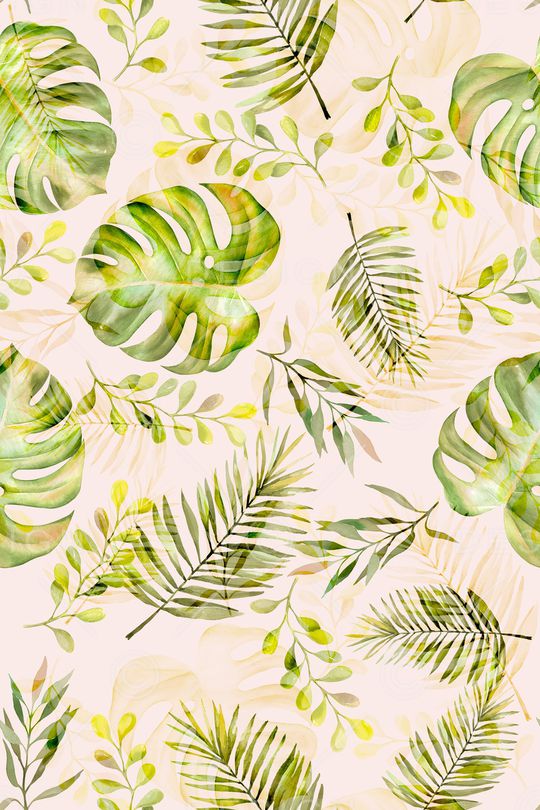 热带印花华亿平台图片