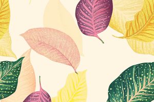 女装印花华亿平台图片