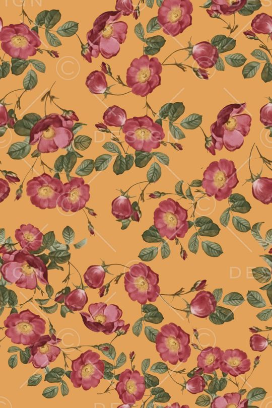 中老年印花华亿平台图片