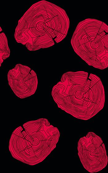 年轮印花华亿平台图片