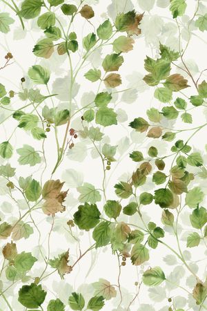 小清新印花华亿平台图片