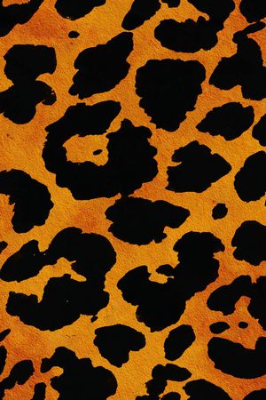 豹纹印花华亿平台图片