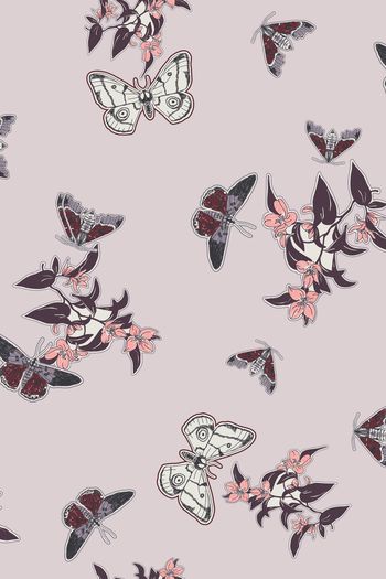 蛾子印花华亿平台图片