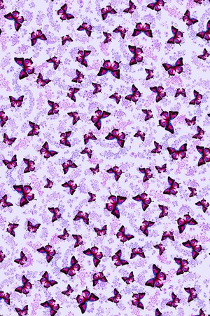 蝴蝶印花华亿平台图片