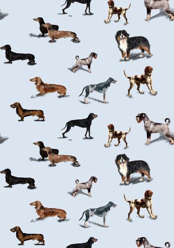 动物印花华亿平台图片