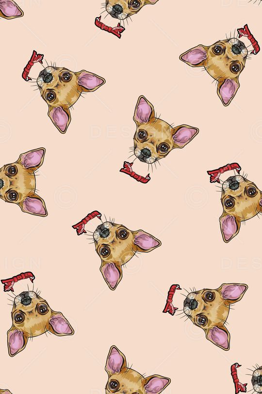 动物印花华亿平台图片