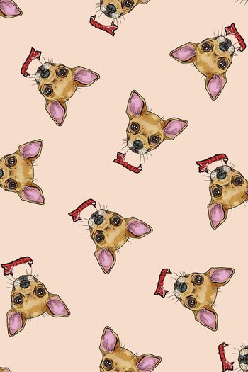 动物印花华亿平台图片