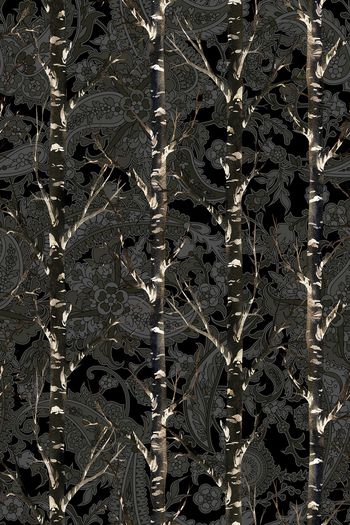 1635181-2026-1-4（系列12）-0