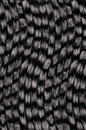 纹理印花华亿平台图片