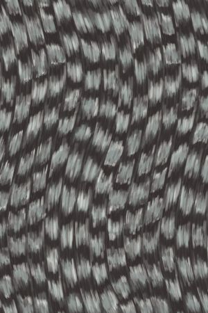 纹理印花华亿平台图片