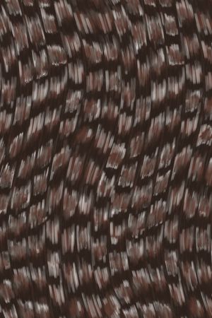 纹理印花华亿平台图片