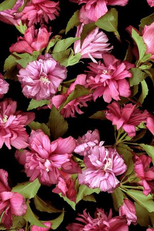 印花华亿平台图片