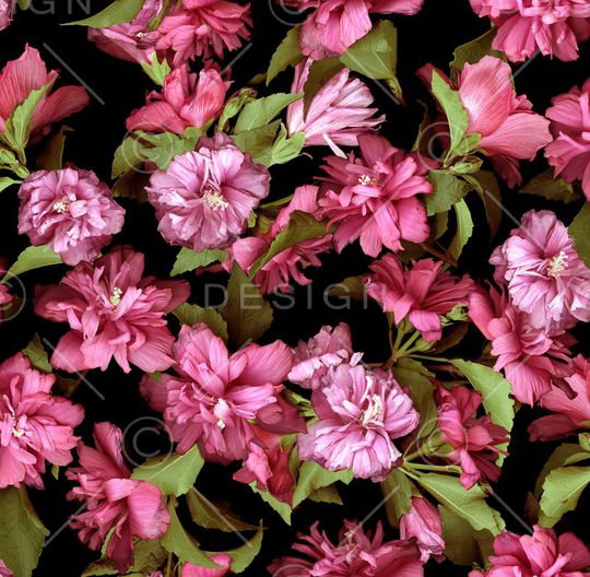 印花华亿平台图片