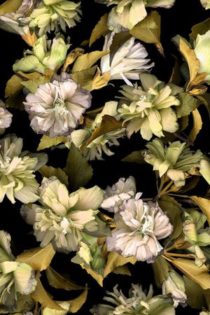 印花华亿平台图片