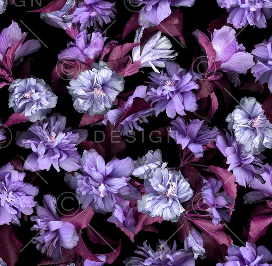 印花华亿平台图片