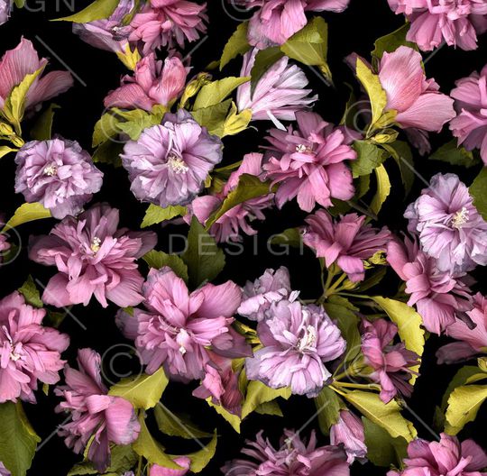 印花华亿平台图片