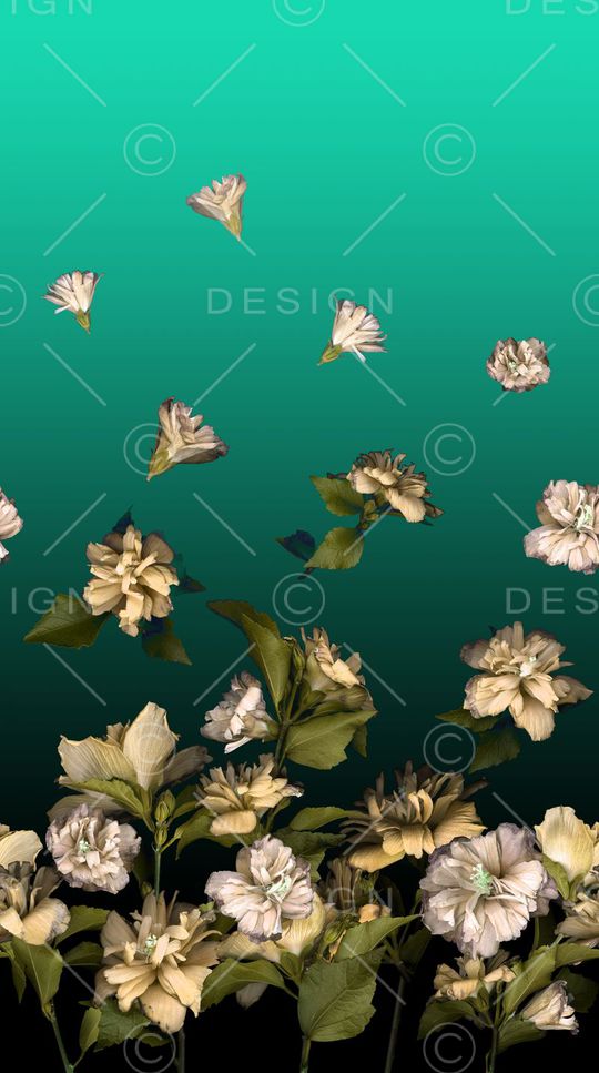 印花华亿平台图片