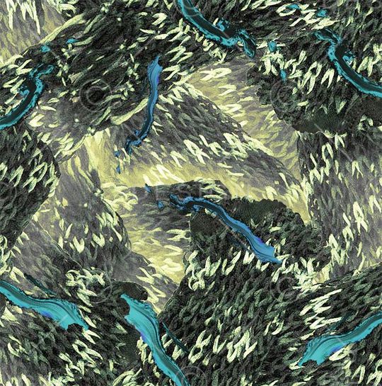 鱼潮印花华亿平台图片