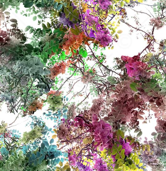 五彩印花华亿平台图片