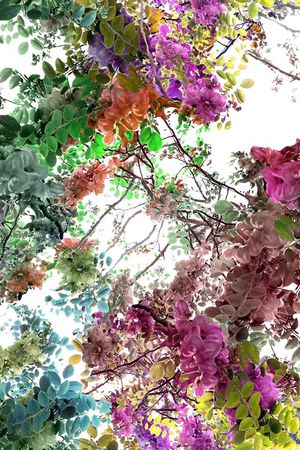 五彩印花华亿平台图片