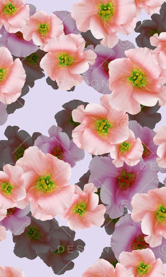 印花华亿平台图片