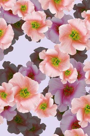 印花华亿平台图片