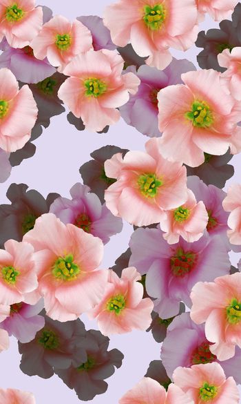 印花华亿平台图片