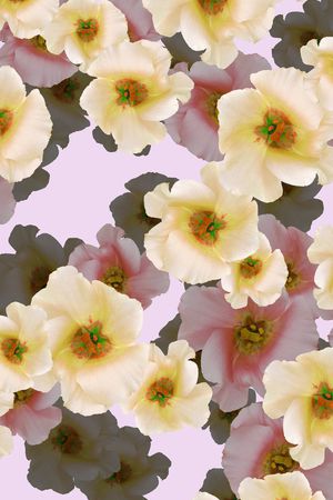 印花华亿平台图片