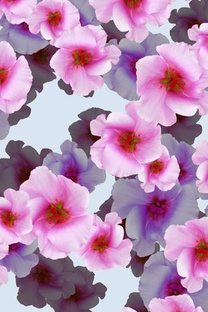 印花华亿平台图片