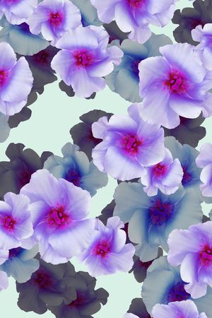 印花华亿平台图片